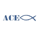 ACE Consulting Company logo