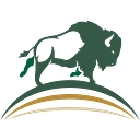 The Bison Group LLC logo