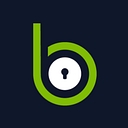 Blackpoint Holdings LLC dba Blackpoint Cyber logo