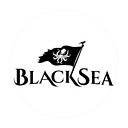 BlackSea Technologies logo