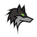 Dark Wolf Solutions, LLC  logo