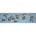 U.S. Department of the Interior (DOI) - U.S. Fish & Wildlife Service (USFWS) logo