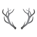 REX Advisory Services Ltd dba Staggs Capital Partners logo