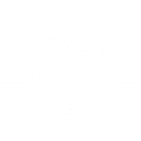 SteerBridge Strategies, LLC. logo