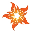 Tradition Coffee Roasters Inc logo