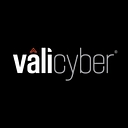 Vali Cyber Inc. logo