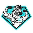 Zee’s Construction Inc. logo